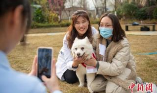 成都市心理医生哪家好