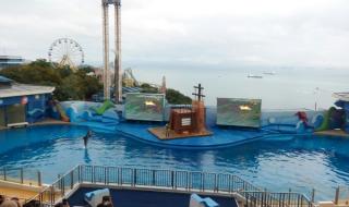 香港海洋公园旅游攻略