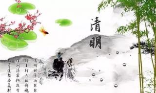 路上行人欲断魂是什么意思