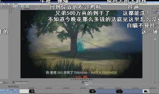 卢本伟开挂实锤视频